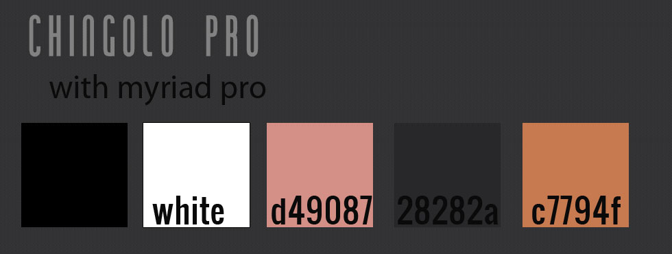 perimeterssaloncolorsfonts