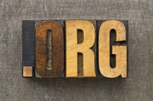 nonprofit organization internet  domain